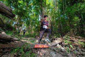 BIB: 
                            <button type="button" onclick="openModal(19389762)" class="btn btn-primary btn-sm float-right btn-popup" data-toggle="modal" data-target=".modal-high-quality">
                        <i class="fas fa-shopping-cart"></i> Add to Cart
                    </button>
                                            <button type="button" onclick="isThisMe(19389762, true)" class="btn btn-success btn-sm float-right btn-popup btn-isme hidden" data-toggle="tooltip" data-placement="bottom" title="นี่คือรูปของคุณใช่ไหม คลิกที่นี่เพื่อเอาเข้าอัลบั้ม">
                        <i class="fas fa-plus"></i> Add to album
                    </button>
                    <button type="button" onclick="isThisMe(19389762, false)" class="btn btn-warning btn-sm float-right btn-popup btn-isnotme hidden">
                        <i class="fas fa-ban"></i> Remove from album
                    </button>